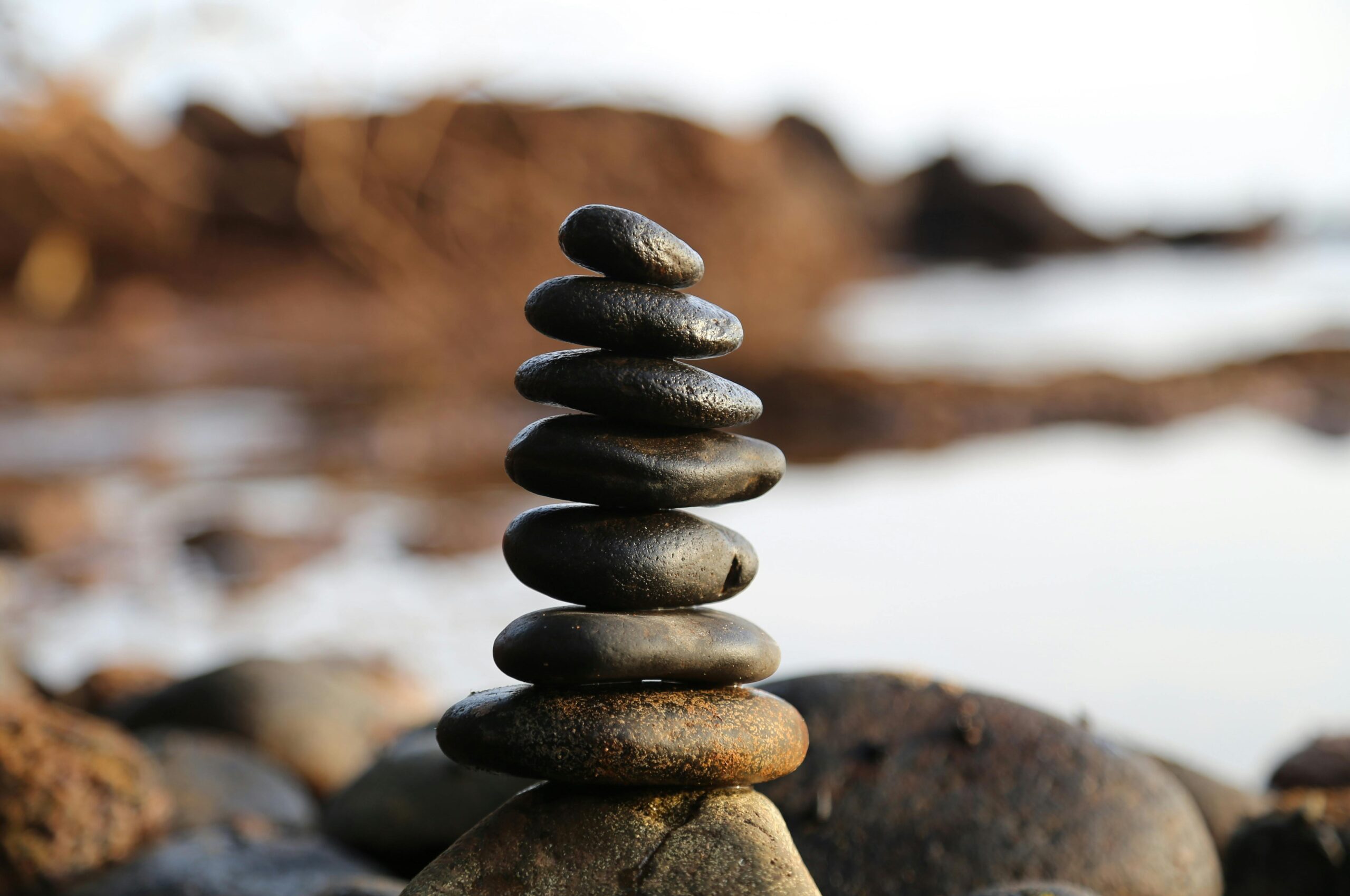 pexels photo 355863 355863